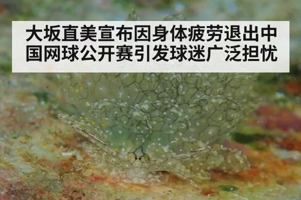 大坂直美宣布因身体疲劳退出中国网球公开赛引发球迷广泛担忧